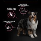 Pro Plan Adult Medium Sensitive Skin Salmão ração para cães, , large image number null